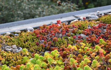 the cost of Whitewall Corner green roof installation