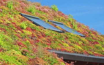 Whitewall Corner living roof systems