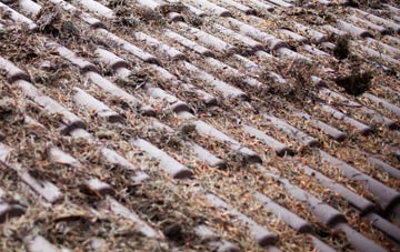 Whitewall Corner roof cleaning companies